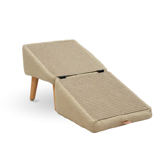 Most Popular Dog Ramp & Footstool