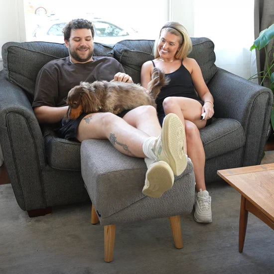 Most Popular Dog Ramp & Footstool
